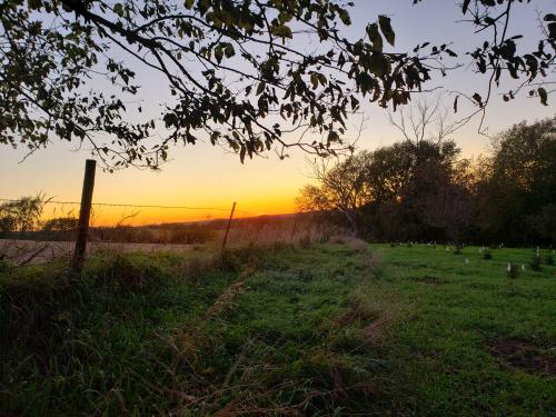 22:57:35 GMT-0600 (CST)