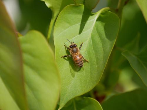 15:13:39 GMT-0800 (PST)