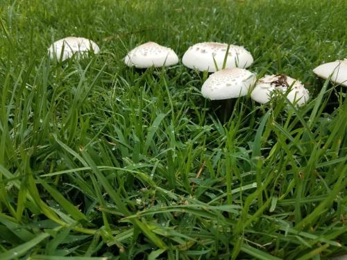 15:38:28 GMT-0800 (PST)