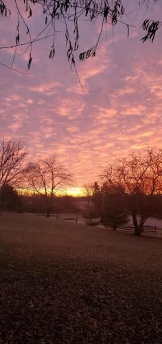 07:33:51 GMT-0500 (EST)