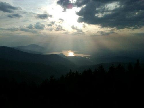 402196_583883296625_1854300582_n