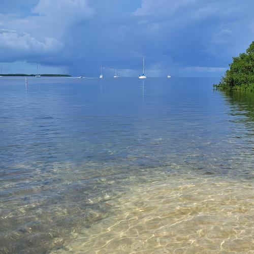 IMG_20201119_200227_169