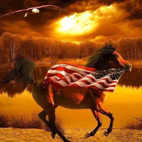 D117BEF0-E494-4D04-874D-46791CDAE156