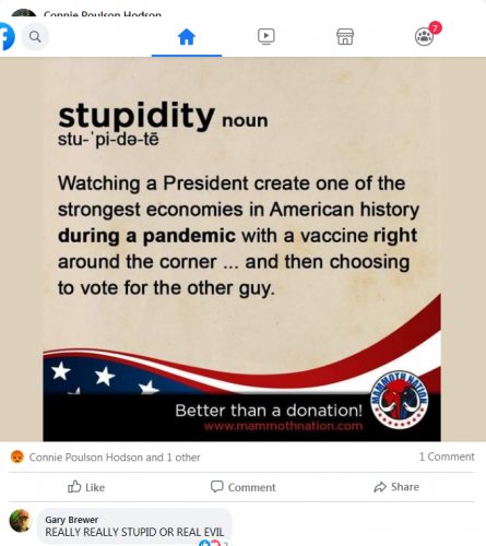 stupidity