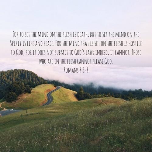 2018-08-31 23.05.05 1858535396460329875_5403409862