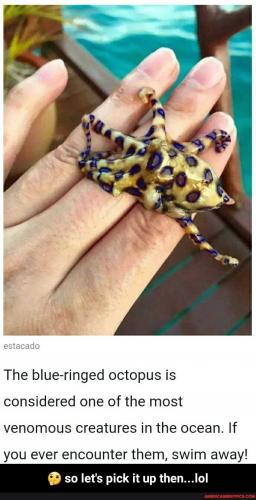 21:38:47 GMT-0600 (CST).image