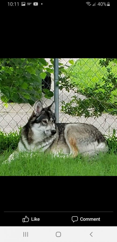 19:37:10 GMT-0600 (CST)