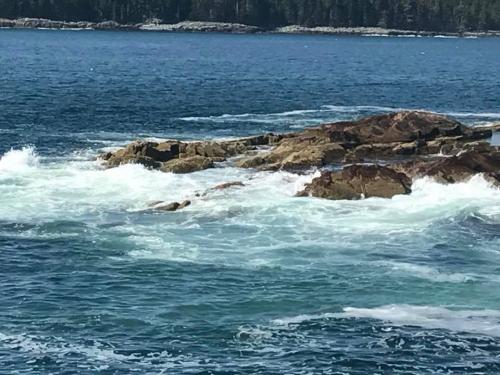 22195234_10211745961577436_3835028988373930030_n