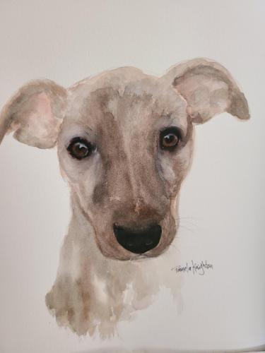 20:18:31 GMT-0700 (MST)