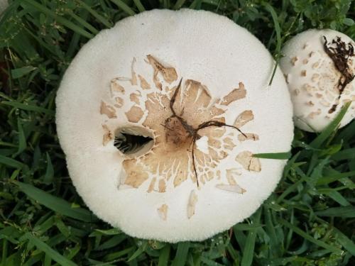 15:38:28 GMT-0800 (PST)