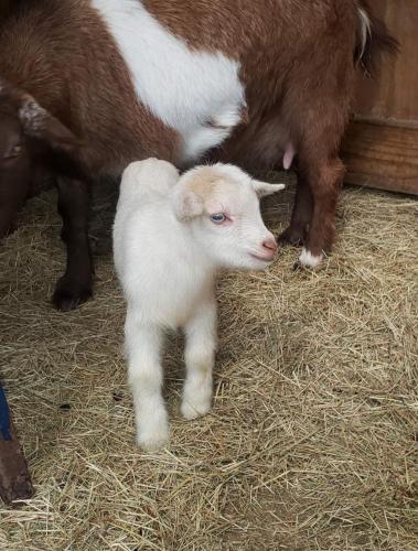 21:33:48 GMT-0600 (CST)