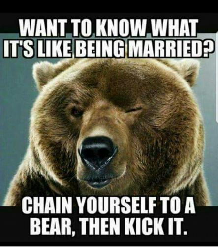 tempFile_2017-11-30-18-13-43