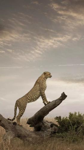 154c89dfa8af31f319e68ed6e0f53395