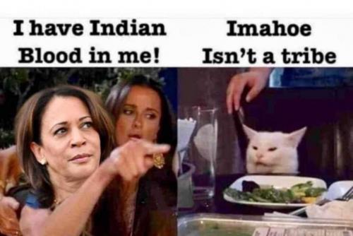 202011130244-01AAs35C37