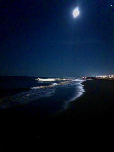 10:46:33 GMT-0500 (EST).image