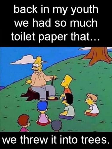 toilet paper01