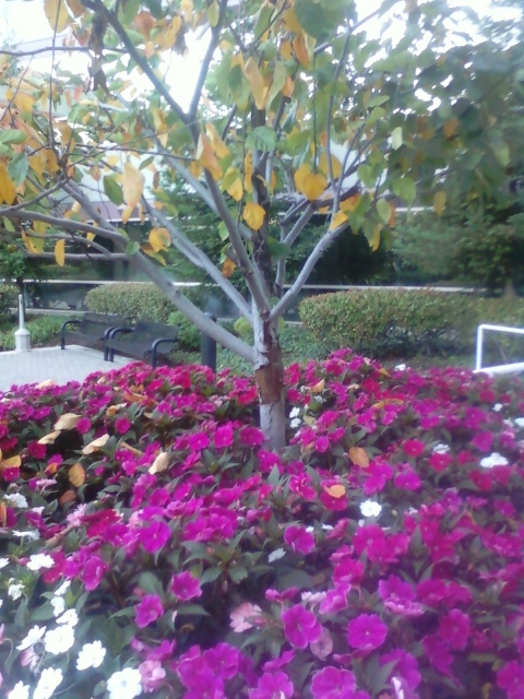 inbound2213039777767526331