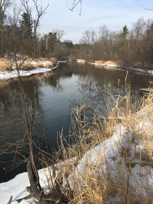 20180121_174146236_iOS