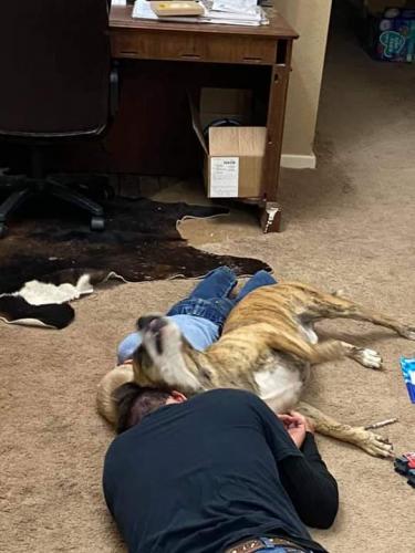 08:49:29 GMT-0600 (CST)