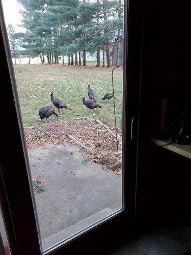 13:20:23 GMT-0500 (EST)