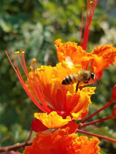 15:33:45 GMT-0800 (PST)