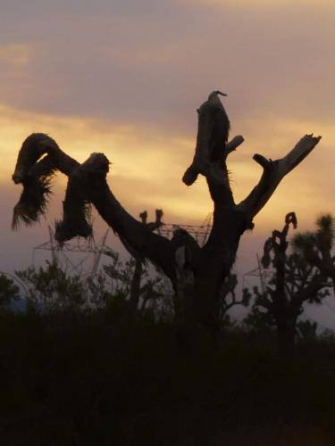 15:03:28 GMT-0800 (PST)