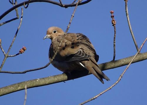 18:00:40 GMT-0500 (EST).image