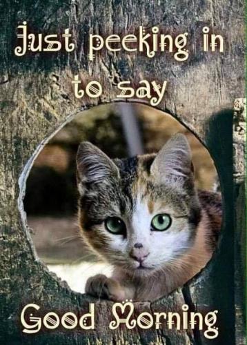 06:50:19 GMT-0600 (CST)