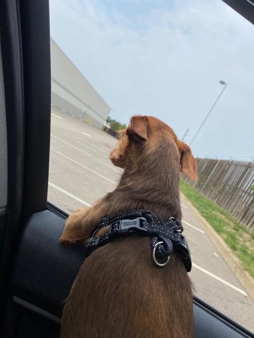 20:14:07 GMT+0100 (WAT).image