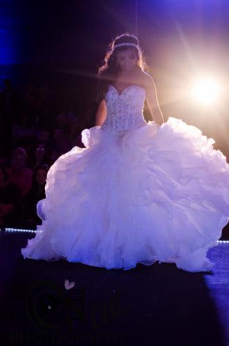 Elkhart Bridal Expo 2015 (8 of 15)