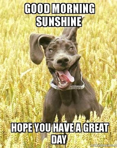 07:19:27 GMT-0500 (EST)