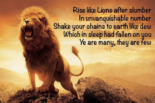 123162769_10218500738565475_4768824898194773638_n