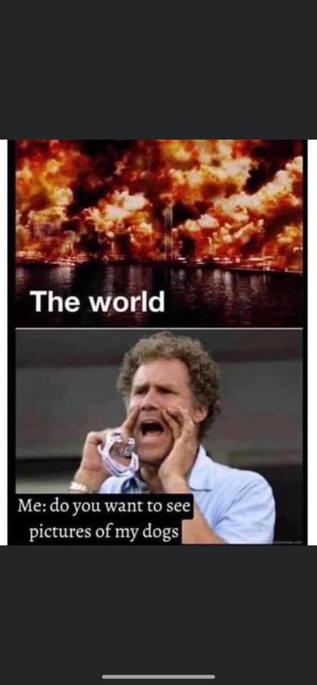 17:21:58 GMT-0700 (MST).image