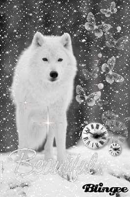 22:36:59 GMT-0500 (EST)