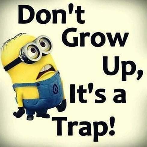 06:19:33 GMT-0600 (CST)