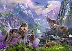 22:31:06 GMT-0600 (CST)