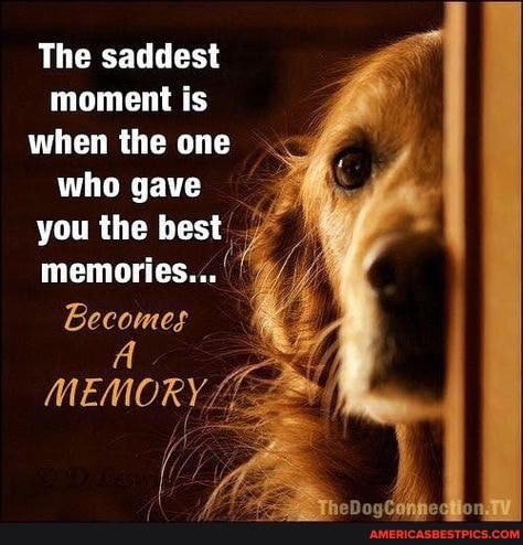 03:31:42 GMT-0600 (CST).image