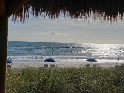 12:18:42 GMT-0600 (CST)