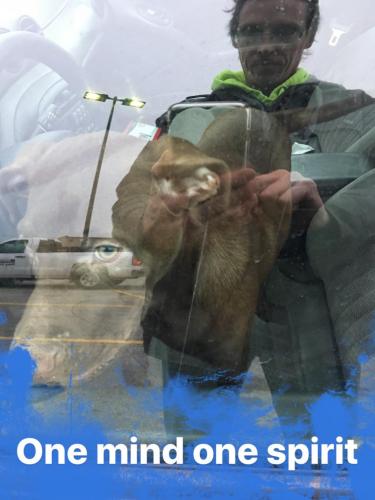 02:12:33 GMT-0600 (CST).image