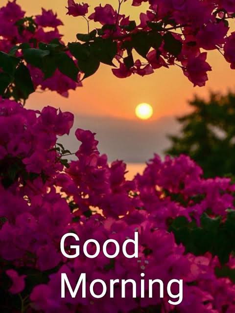 15:20:52 GMT+0100 (WAT).image