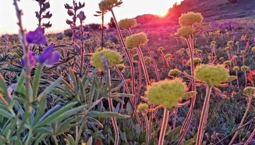 10:30:43 GMT-0700 (MST)