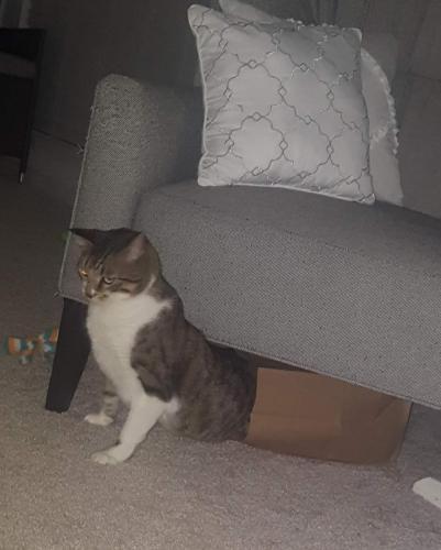 48270708_10156842407541550_5388526099103744000_o