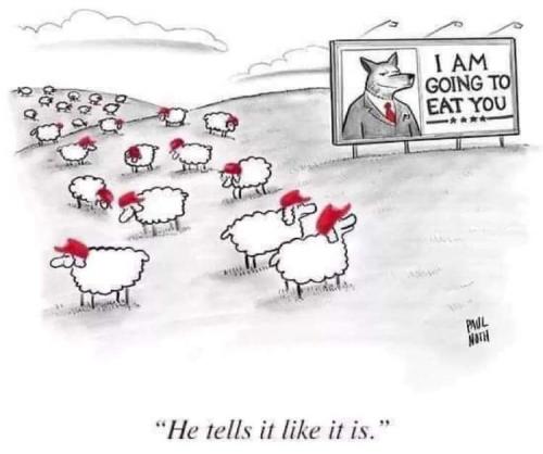 inbound8971229240643608008