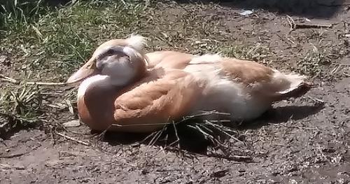 04:48:23 GMT-0600 (CST)