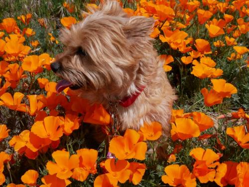 12:02:07 GMT-0800 (PST)