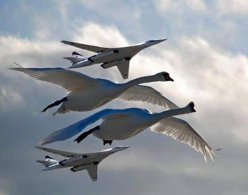 125100069_933187987088090_5560517693077793530_n