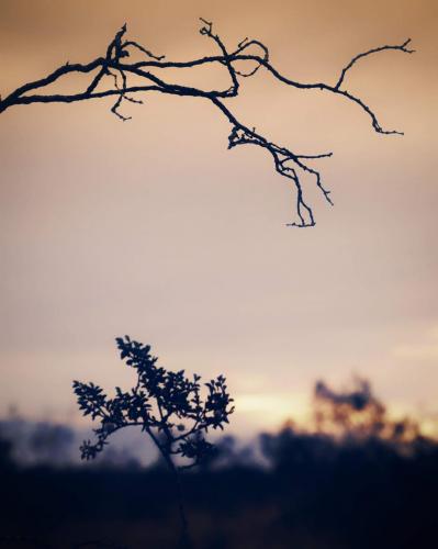 15:03:28 GMT-0800 (PST)