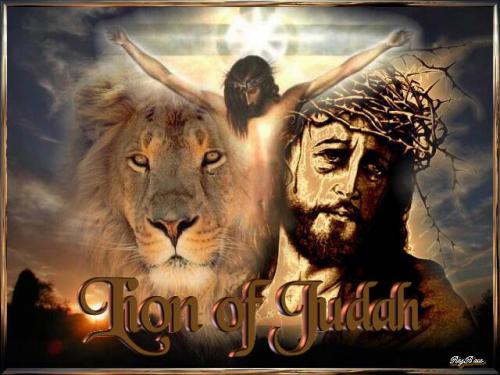 Lion_of_Judah100