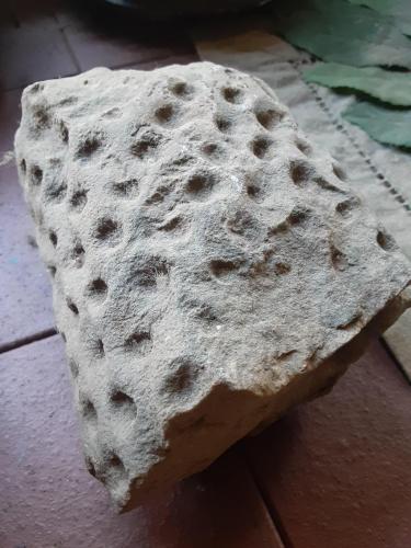 13:14:41 GMT-0600 (CST)