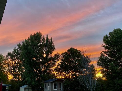 9F8A2044-FBCD-430D-9D59-5ABB090AC98D